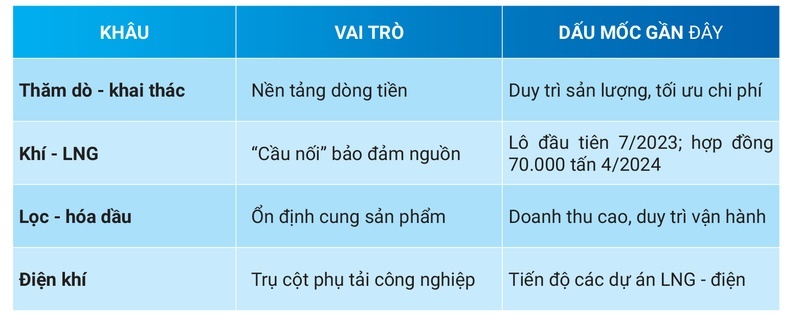 Bảng 3: Chuỗi giá trị mở rộng của Petrovietnam (định tính).