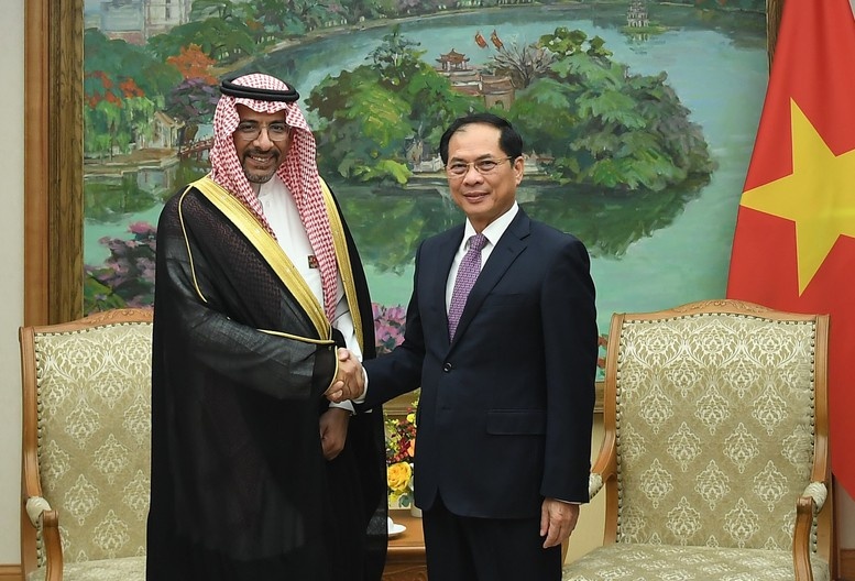 Phó Thủ tướng cũng đề nghị Saudi Arabia xem xét khả năng xây dựng, phát triển trung tâm trung chuyển, dự trữ dầu thô và các sản phẩm lọc hoá dầu tại Việt Nam để cung cấp cho các nước trong khu vực Đông Nam Á.
