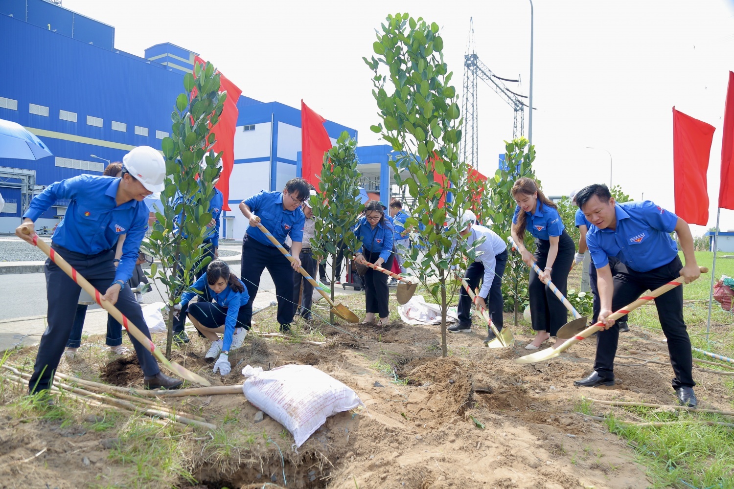 Đoàn Thanh niên Petrovietnam trồng cây xanh tại Nhà máy Nhiệt điện Sông Hậu 1.