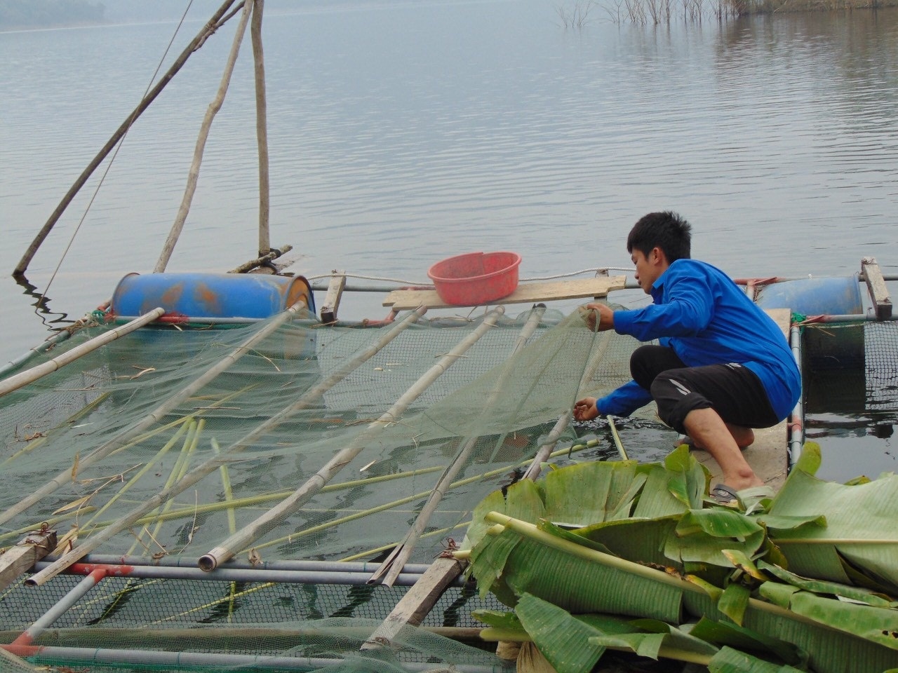 Nghề nuôi cá lồng đã giúp hàng trăm hộ dân ở vùng lòng hồ Thủy điện Hủa Na thoát nghèo.