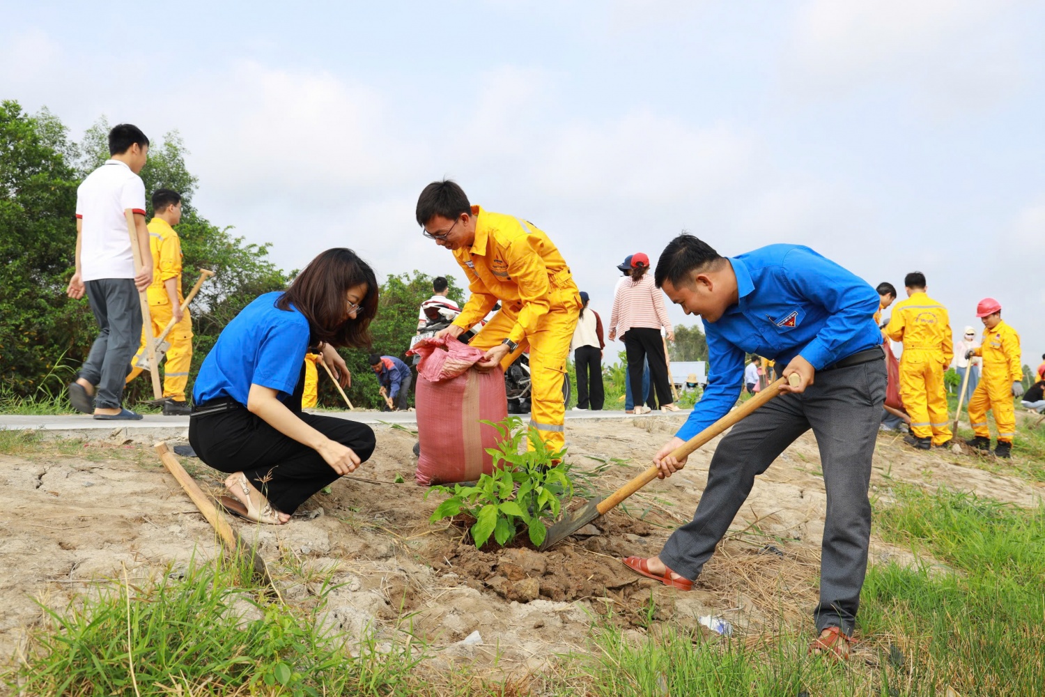 Giải Marathon Cà Mau 2025 gắn với hoạt động trồng cây xanh tại Cà Mau.