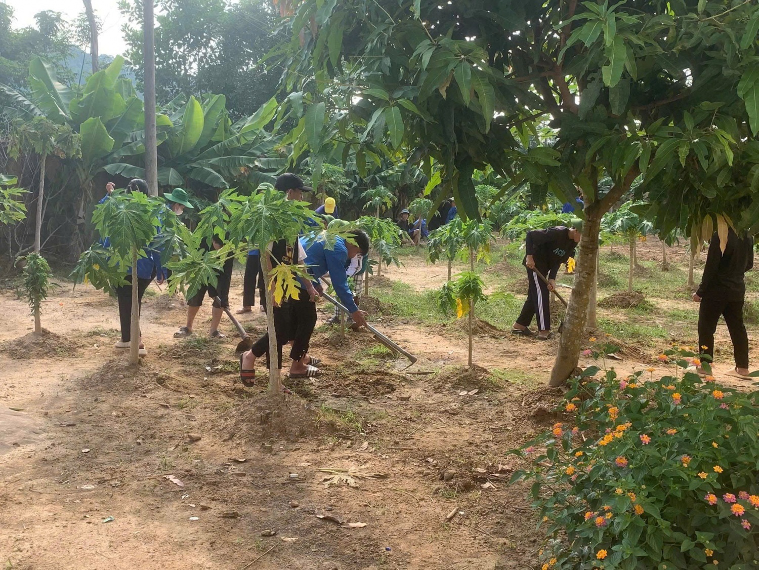 Học sinh Trường Phổ thông Dân tộc Nội trú THPT Mường Nhé trồng rau ngoài giờ học.