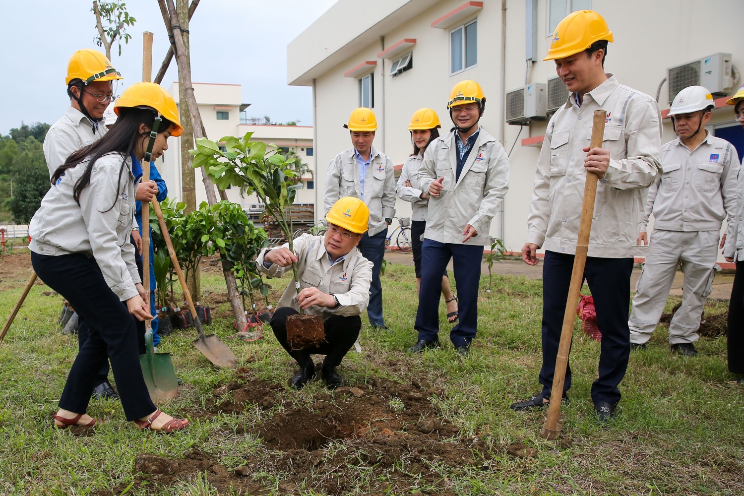 Phó Tổng Giám đốc Petrovietnam Dương Mạnh Sơn trồng cây tại xưởng BDSC NMLD Dung Quất.