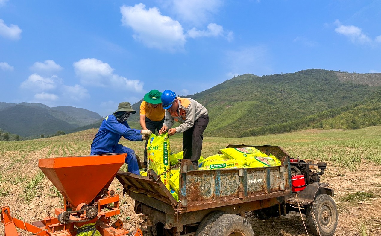 Nguồn cung phân bón ổn định đã tạo điều kiện để nền nông nghiệp Việt Nam bứt phá về năng suất, mở rộng diện tích canh tác.