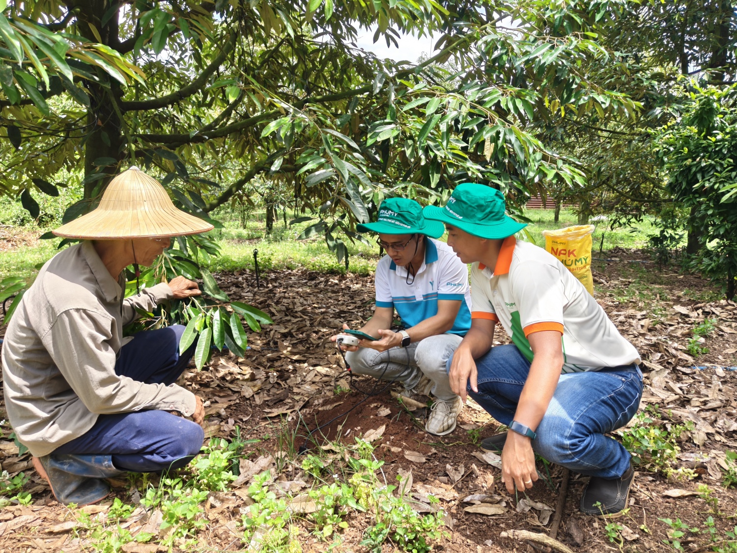 Kỹ sư của PVFCCo - Phú Mỹ hướng dẫn nông dân tiếp cận các mô hình canh tác khoa học, cải tạo và tái tạo đất.