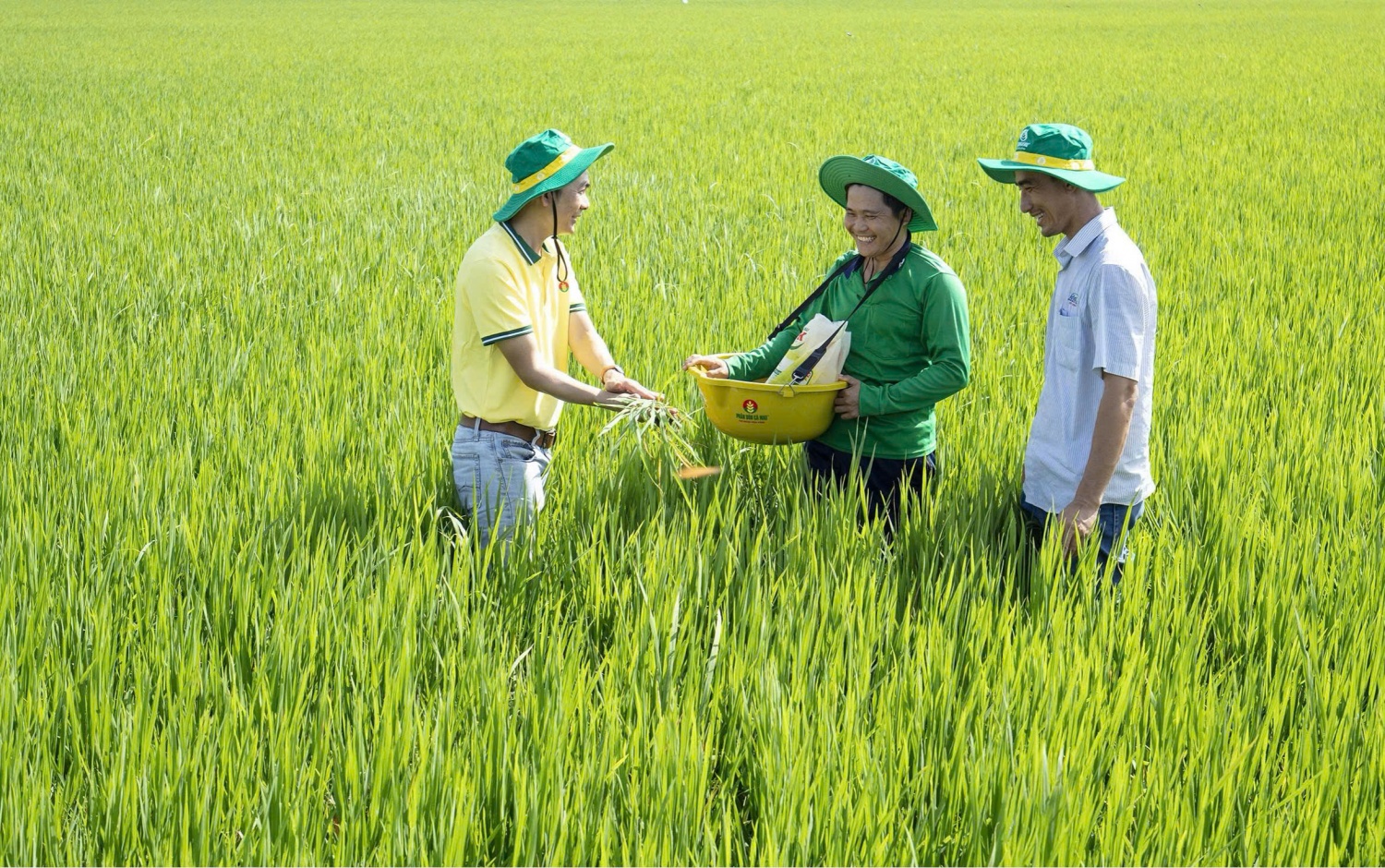 PVCFC hướng đến bộ giải pháp toàn diện cho cây trồng.