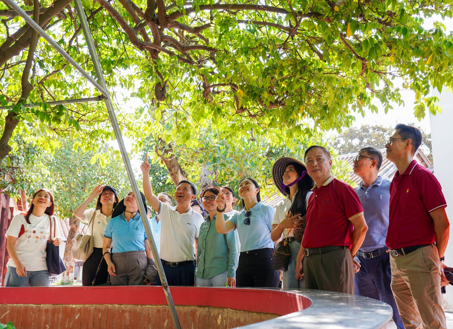 Đoàn Công đoàn thăm cây khế cổ thụ trong khuôn viên trường.