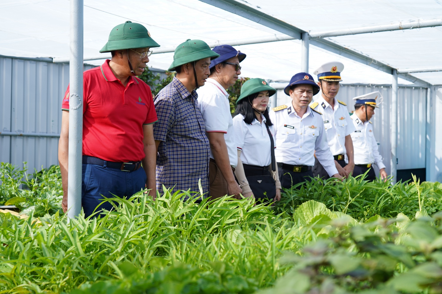 Đoàn công tác thăm vườn rau do các chiến sĩ trồng trên Nhà Giàn DK-I/20