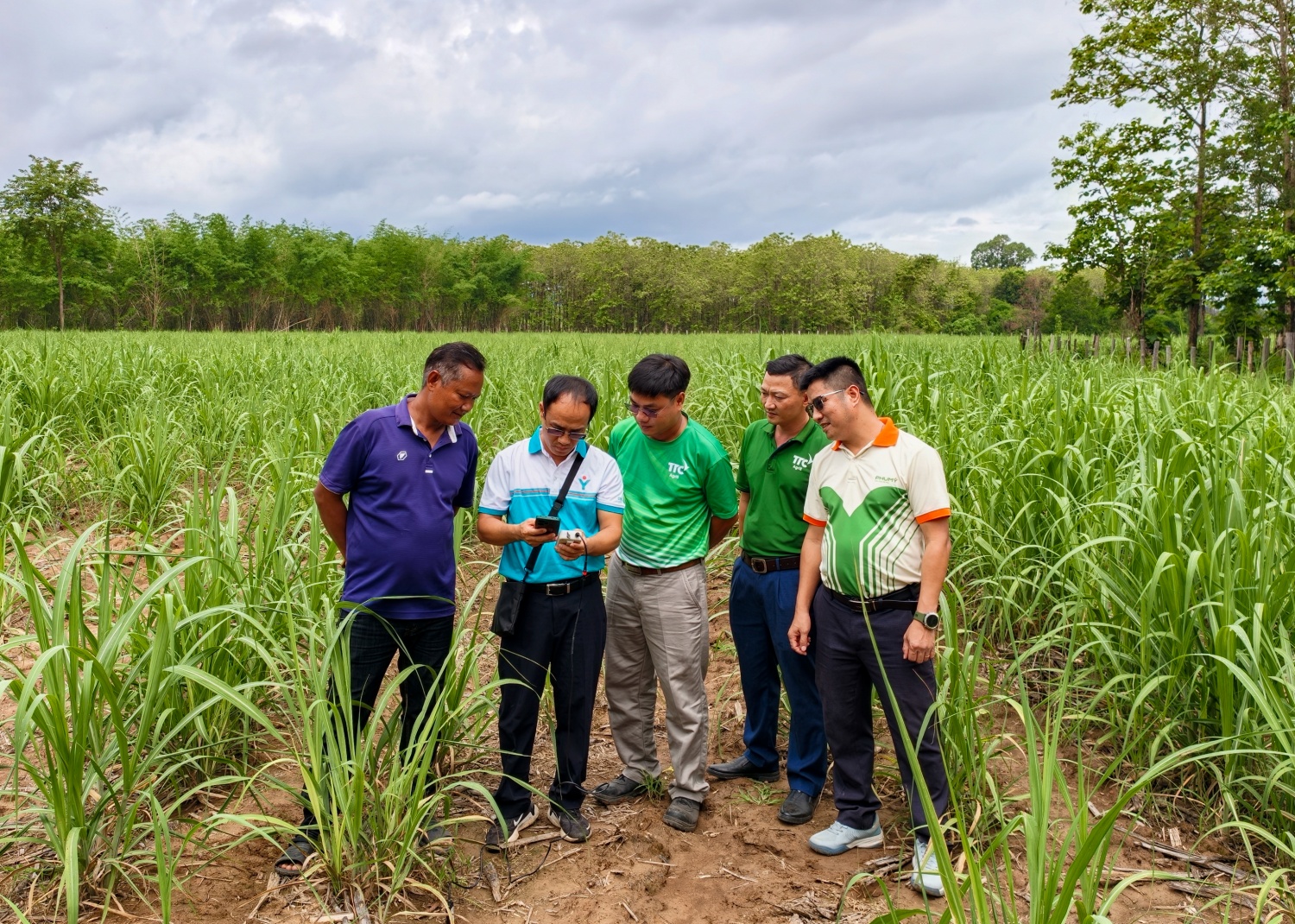 Chuyên gia, cán bộ kỹ thuật Phú Mỹ cùng đội ngũ kỹ thuật TTC Attapeu thực hiện đo dinh dưỡng đất tại ruộng mía.