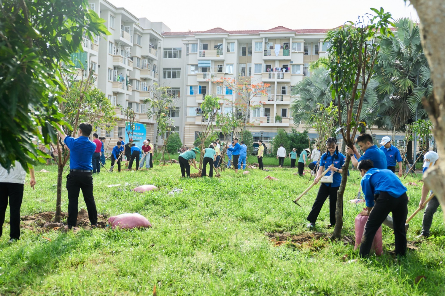Đông đảo CBCNV PVCFC tham gia trồng cây trong khuôn viên Nhà công vụ.