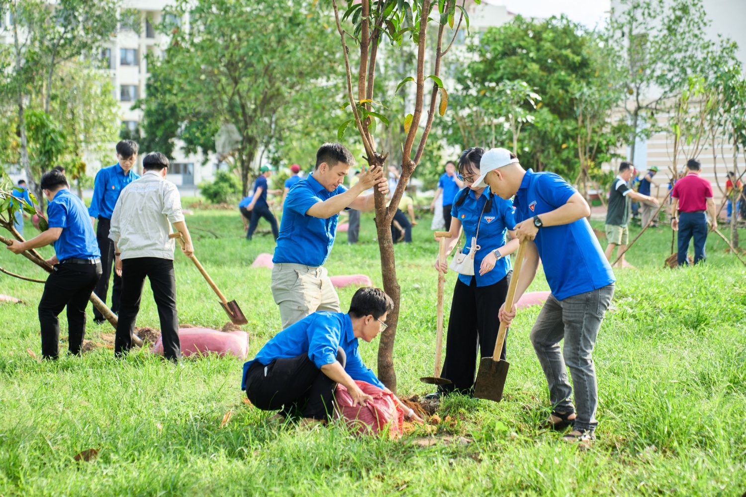 Mỗi cây xanh được vun trồng góp phần tạo dựng không gian sống trong lành.