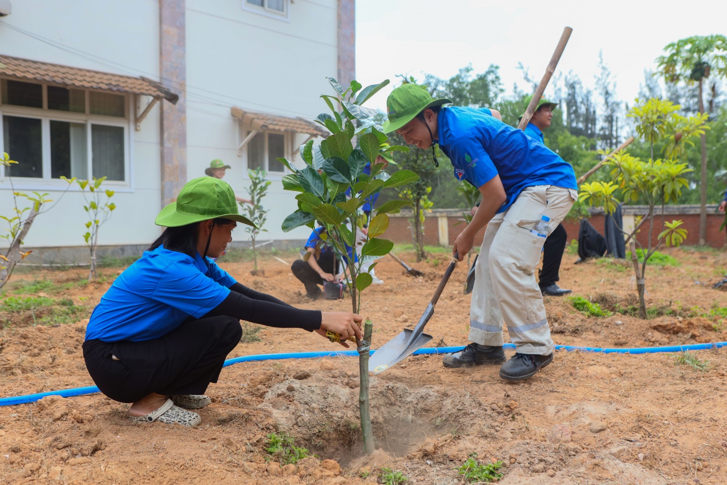 Các đoàn viên thanh niên hào hứng hưởng ứng chương trình trồng cây tại lễ ra quân Chiến dịch Thanh niên tình nguyện Hè năm 2026.