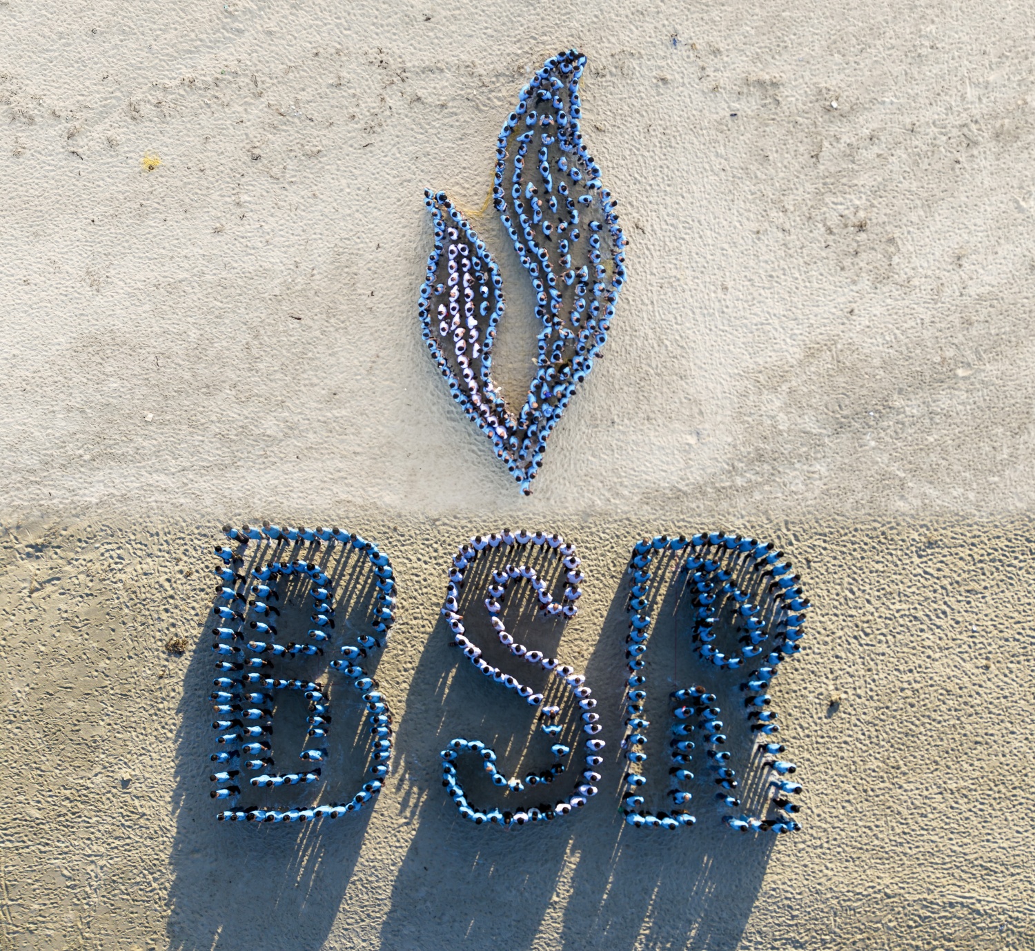 Người lao động BSR xếp logo BSR và biểu tượng ngọn lửa Petrovietnam.
