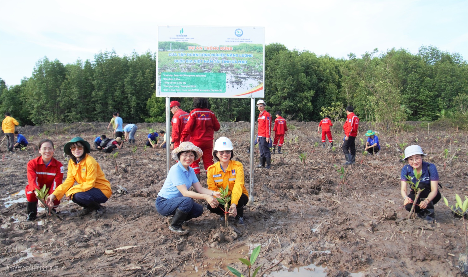 Hơn 3.700 cây đước đôi được Petrovietnam trồng trên diện tích 1,5 ha rừng ngập mặn Cà Mau trong chương trình “Trồng cây phục hồi rừng trên đất ngập nước” năm 2026.