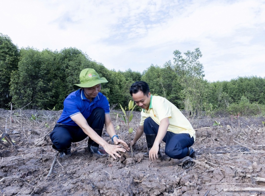 Cán bộ, đoàn viên, người lao động Petrovietnam tự hào khi tham gia trồng rừng, góp một phần bảo vệ môi trường, phục hồi hệ sinh thái và đồng hành với sự phát triển bền vững tại Cà Mau.