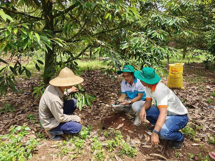 NPK Phú Mỹ với sản lượng tiêu thụ ước đạt 144,2 nghìn tấn, ước vượt 45% kế hoạch 6 tháng.