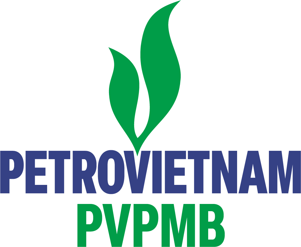 PVPMB