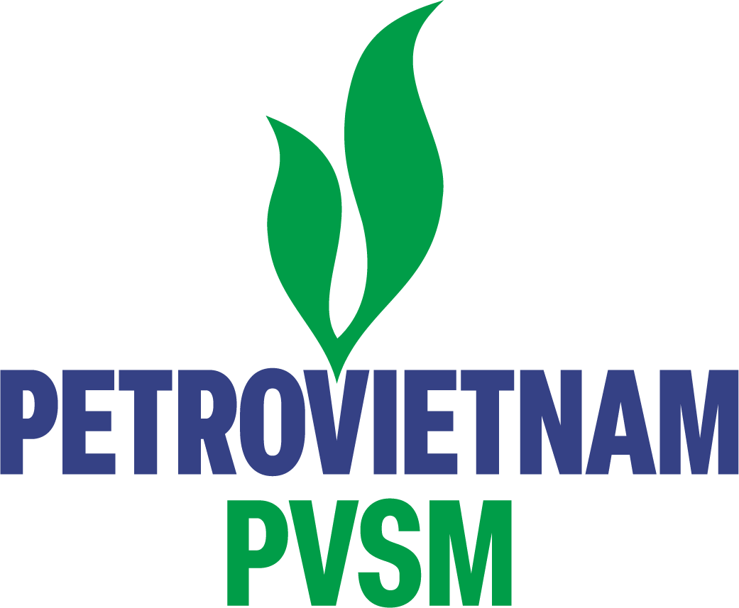 PVSM