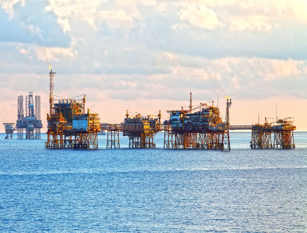 Petrovietnam: Respond promptly to “double crisis”
