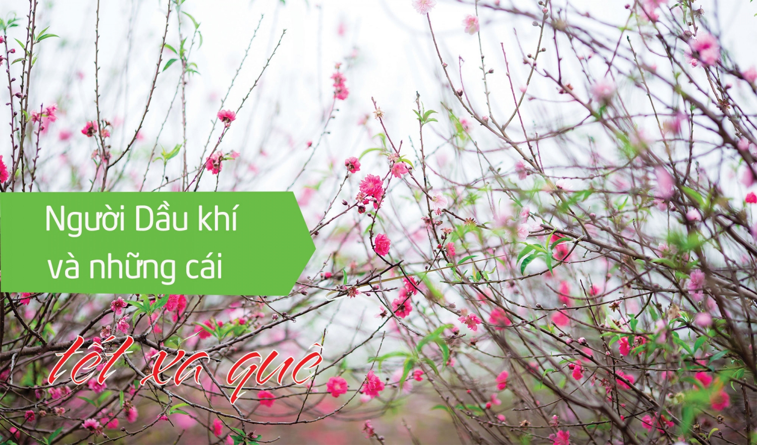 Người Dầu khí và những cái tết xa quê