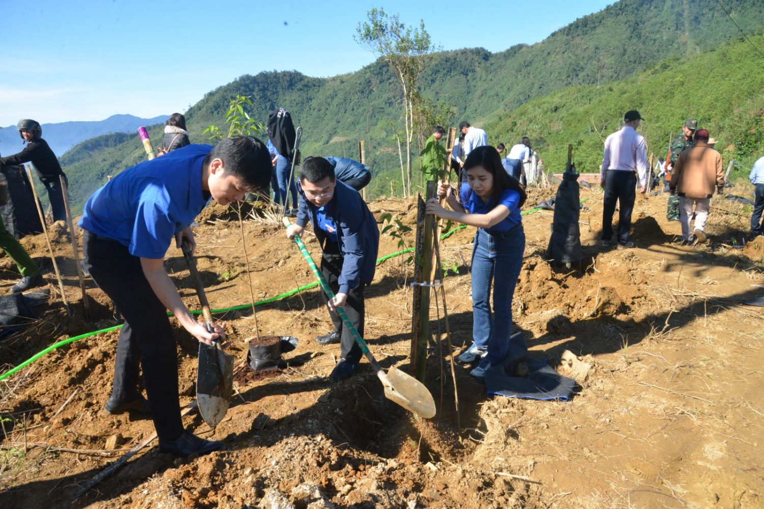 BSR tham gia Tết trồng cây “Đời đời nhớ ơn Bác Hồ” tại huyện Trà Bồng BSR tham gia Tết trồng cây “Đời đời nhớ ơn Bác Hồ” tại huyện Trà Bồng