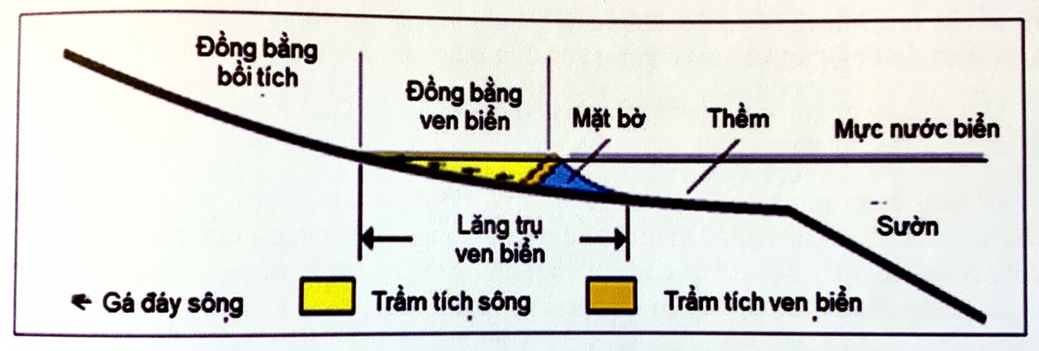 Tướng đá và môi trường trầm tích Tướng đá và môi trường trầm tích