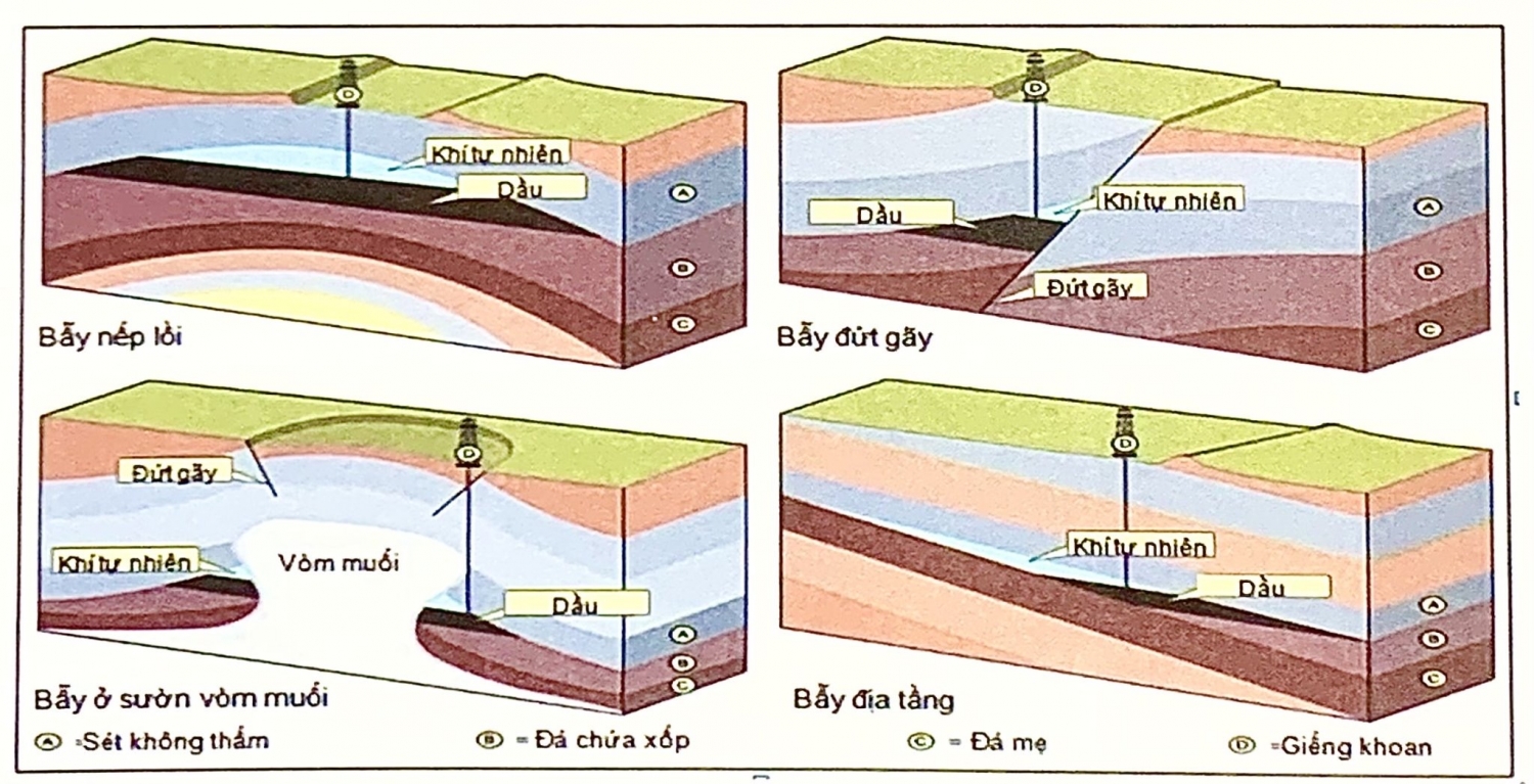 Các loại bẫy dầu khí, chuyển dịch và nạp bẫy Các loại bẫy dầu khí, chuyển dịch và nạp bẫy