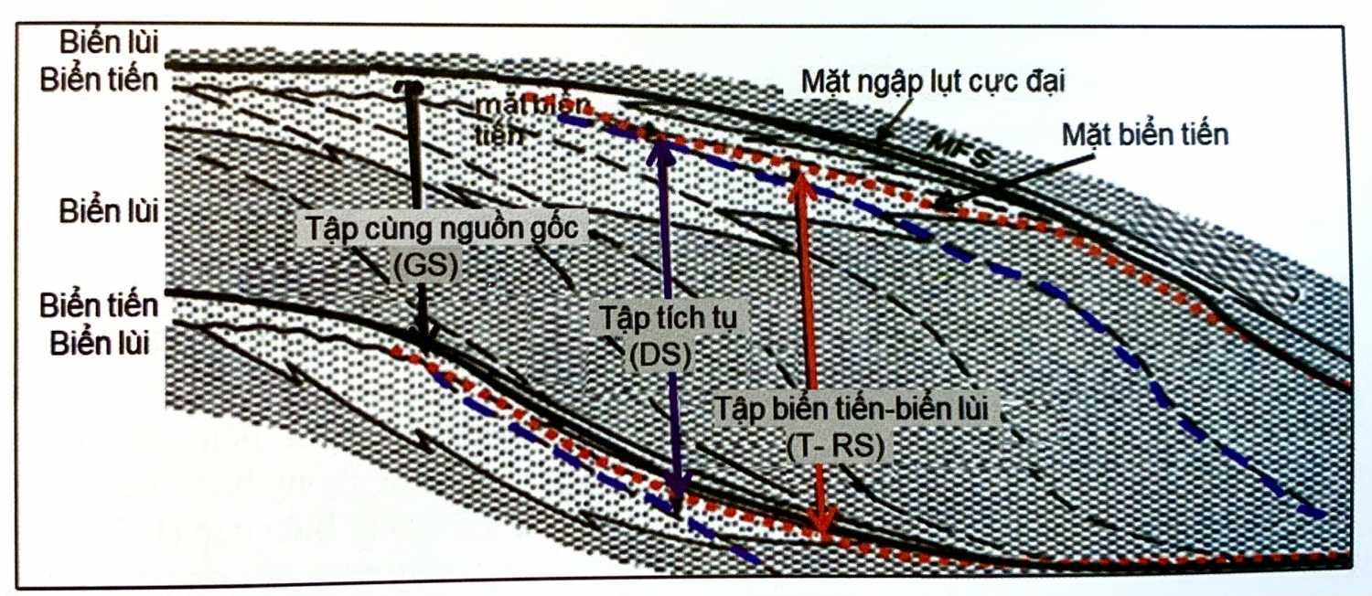 Tập trầm tích
