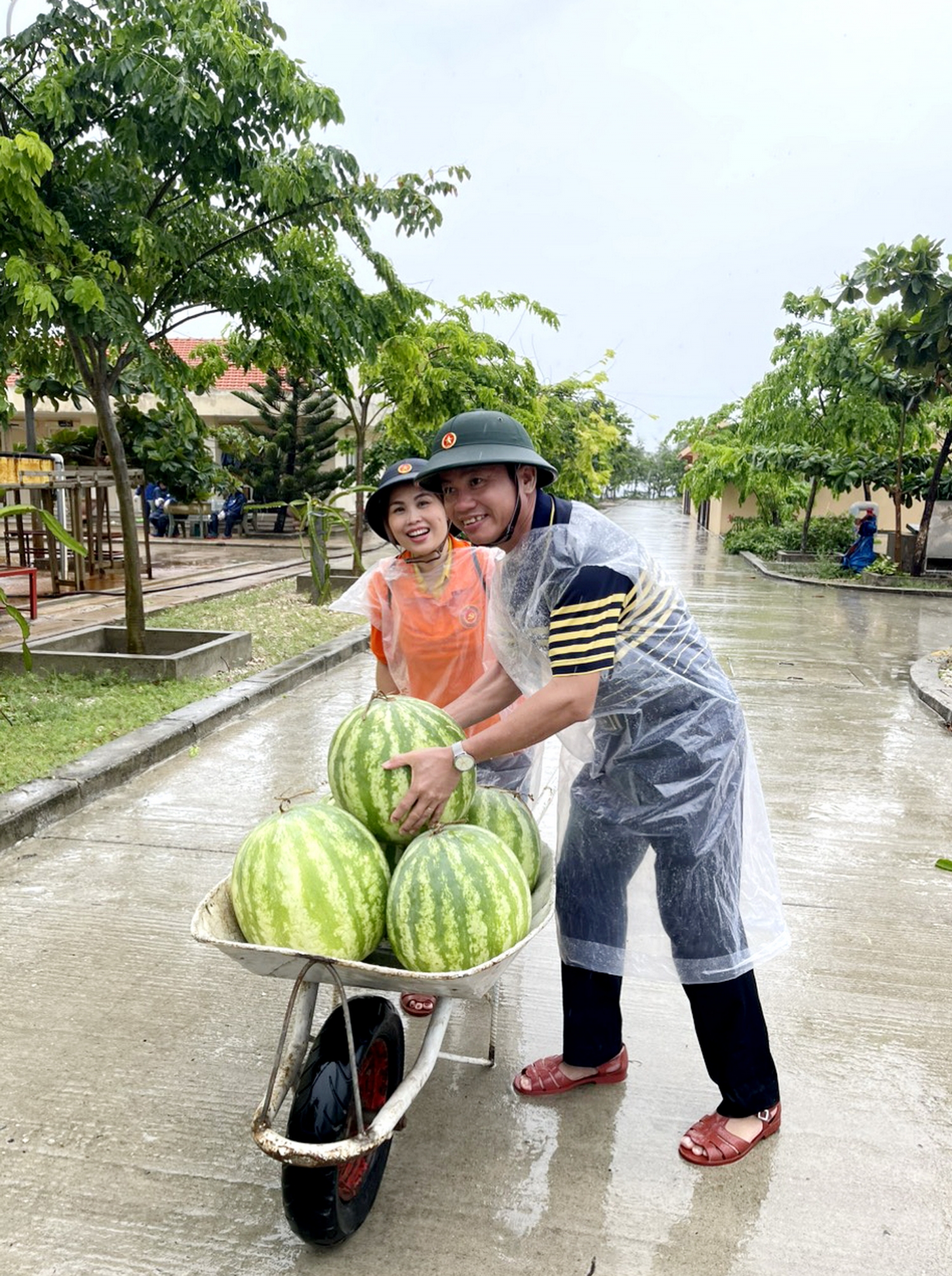 Màu xanh bất khuất ở đảo xa, trái dưa hấu thu hoạch được từ bao nhiêu công chăm sóc đều mang tinh thần vượt khó, quyết tâm khẳng định chủ quyền Tổ quốc Màu xanh bất khuất ở đảo xa, trái dưa hấu thu hoạch được từ bao nhiêu công chăm sóc đều mang tinh thần vượt khó, quyết tâm khẳng định chủ quyền Tổ quốc