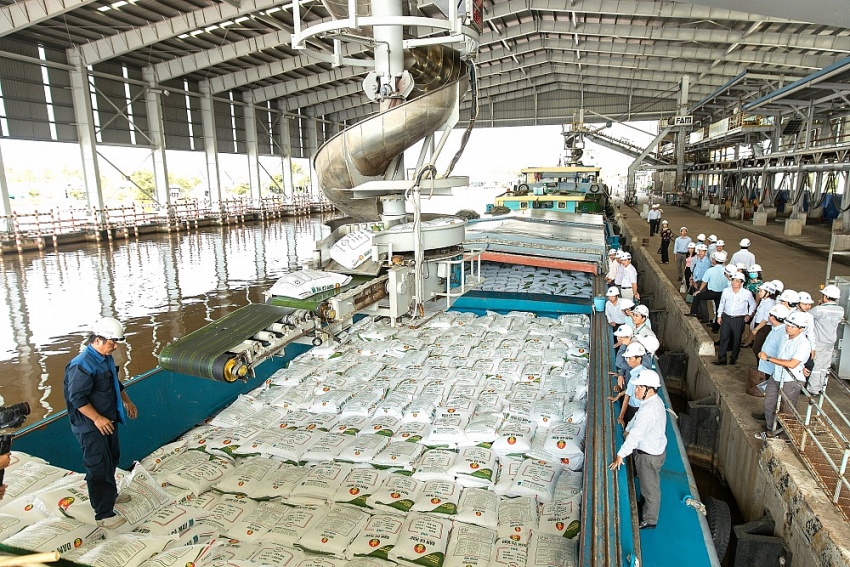 Xuất bán sản phẩm Phân bón Dầu khí Cà Mau Xuất bán sản phẩm Phân bón Dầu khí Cà Mau