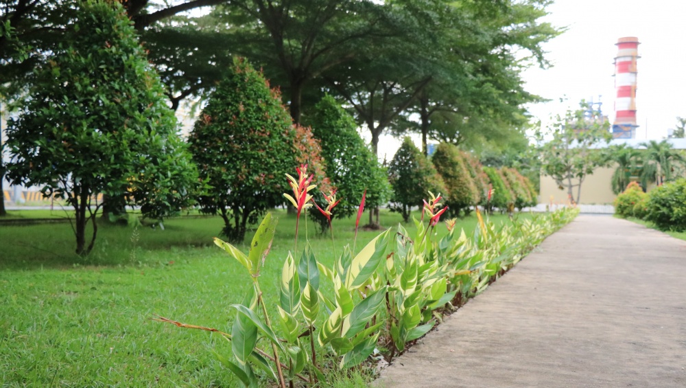 Tác phẩm dự thi Tác phẩm dự thi
