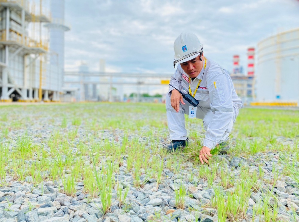 Tác phẩm dự thi Tác phẩm dự thi
