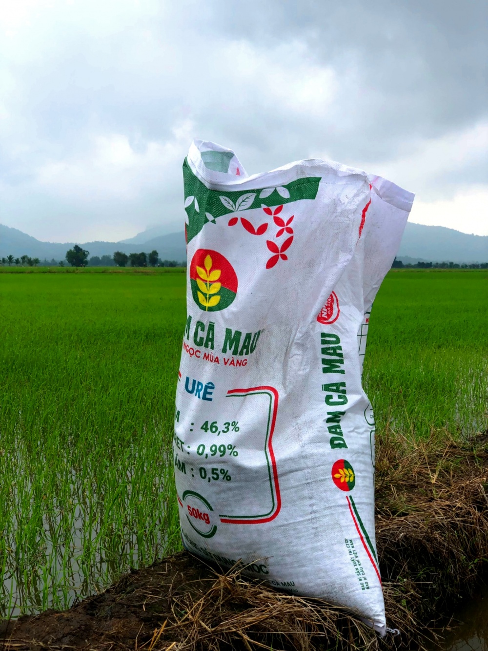 Tác phẩm dự thi Tác phẩm dự thi