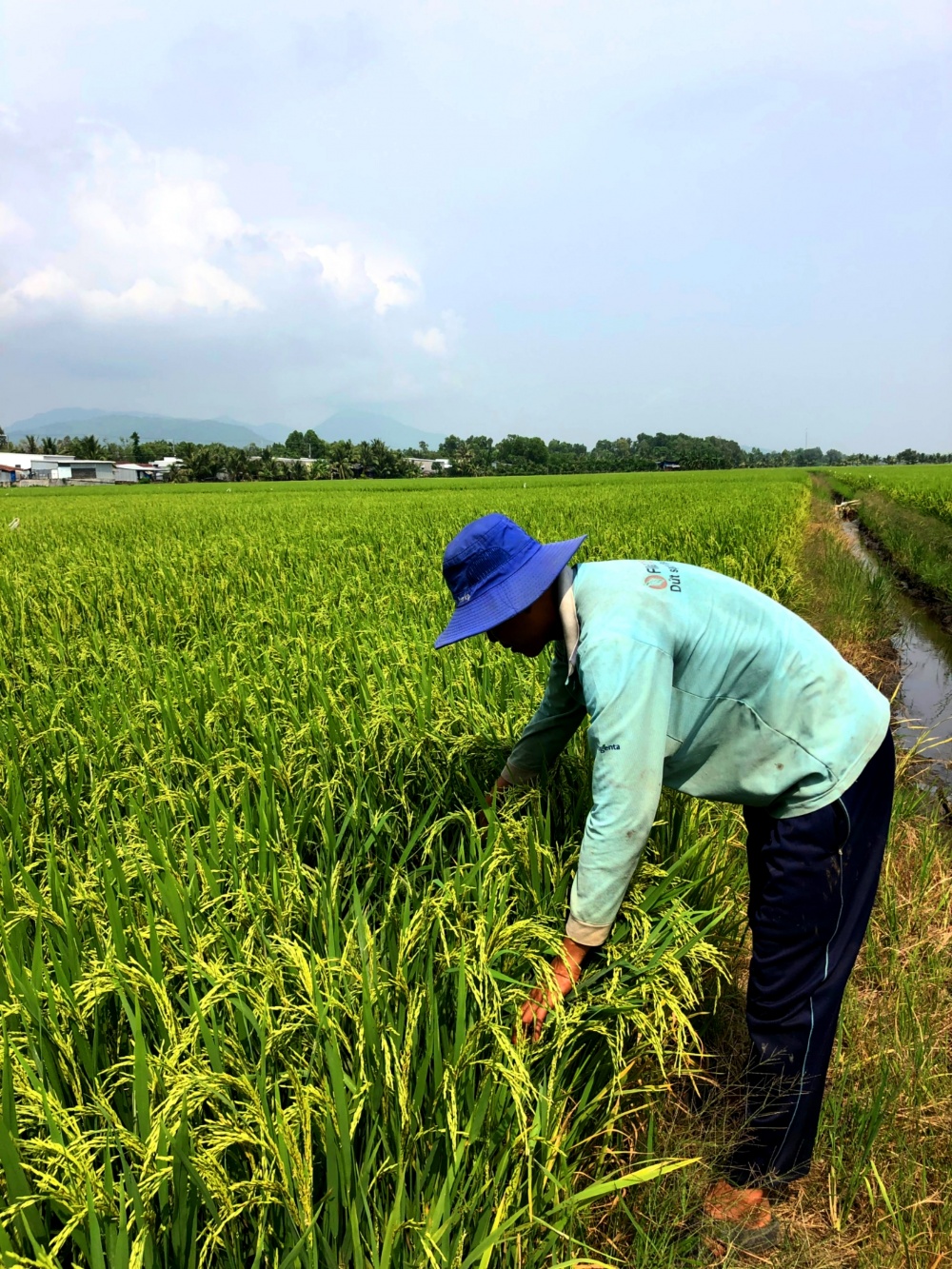 Tác phẩm dự thi Tác phẩm dự thi